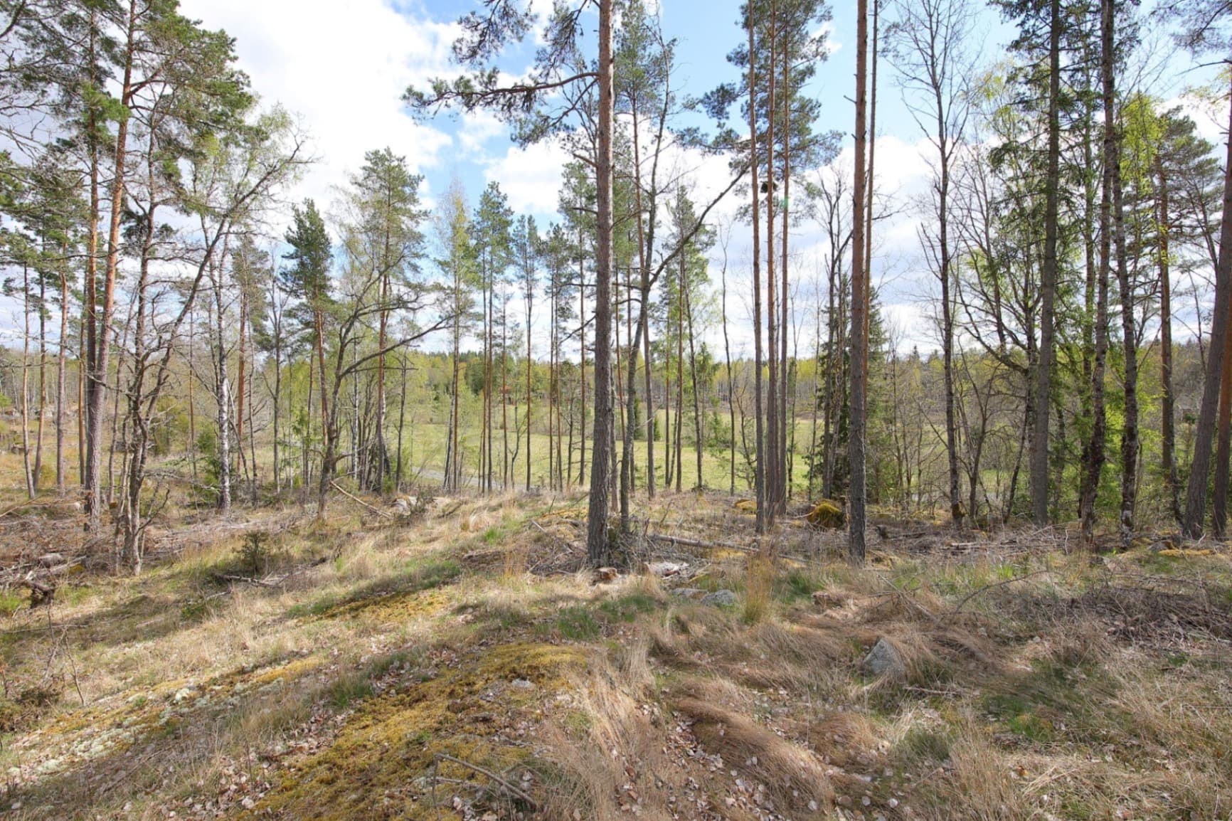 Blivande hästgård | KROKKÄRRET 1:1, ÖRSUNDSBRO, mellan Uppsala och Enköping - Miniatyrbild 6 av 12