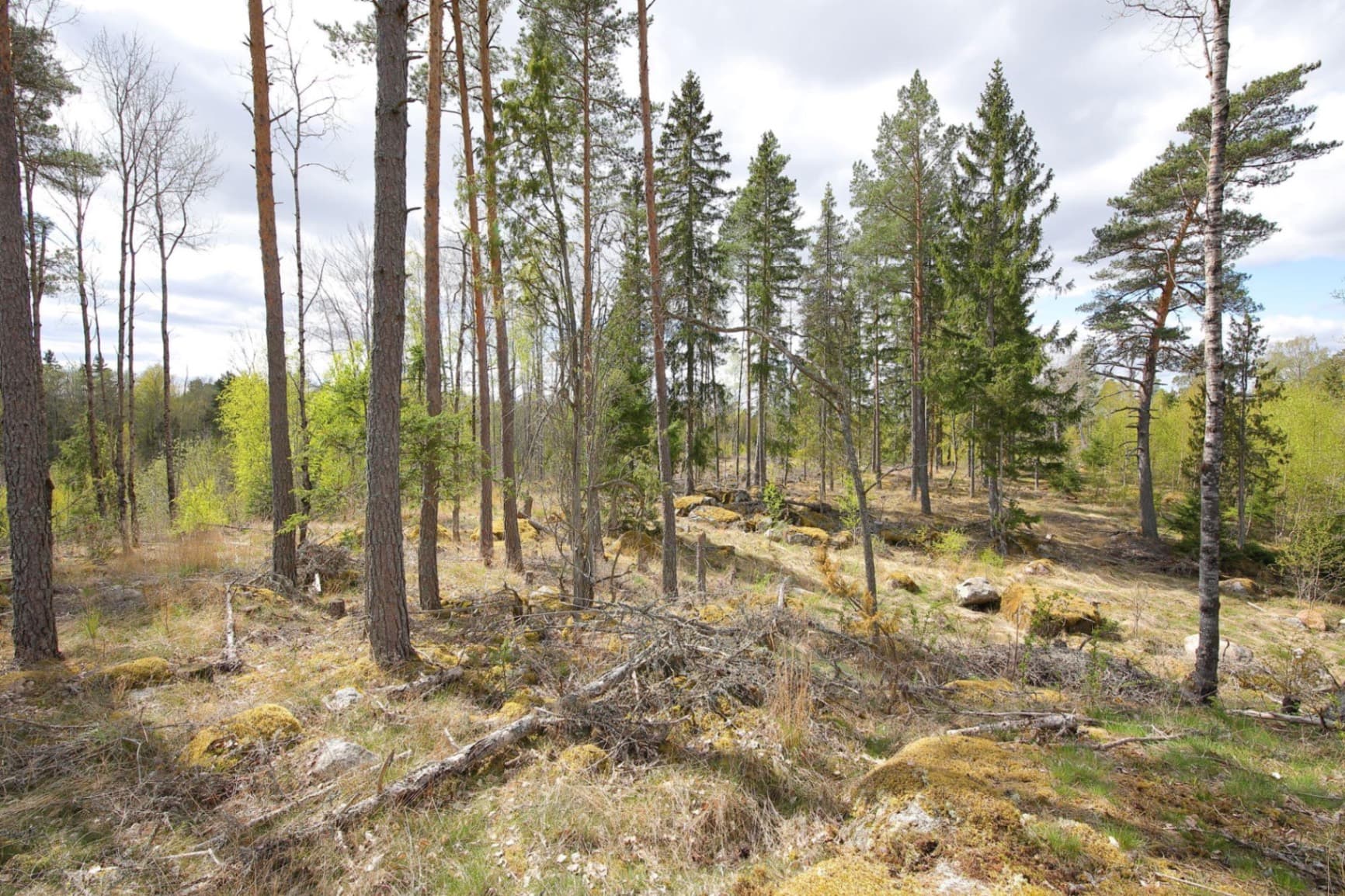 Blivande hästgård | KROKKÄRRET 1:1, ÖRSUNDSBRO, mellan Uppsala och Enköping - Miniatyrbild 10 av 12