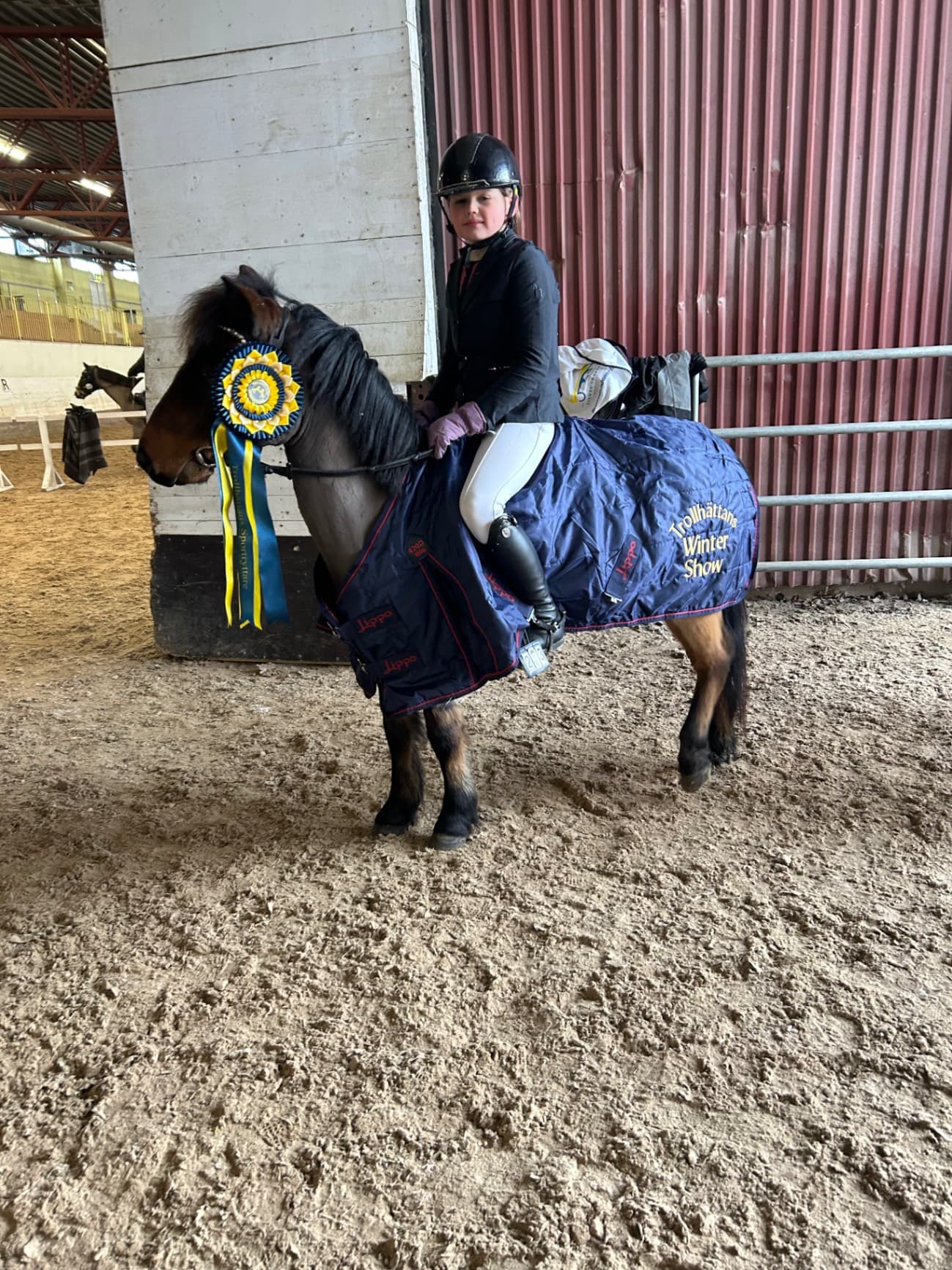 Tävlingsglatt Gotlandsruss med meriter och stor vilja att vara felfri