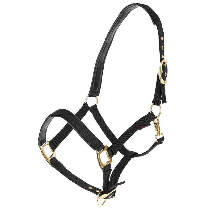 Nylongrimma TopLine