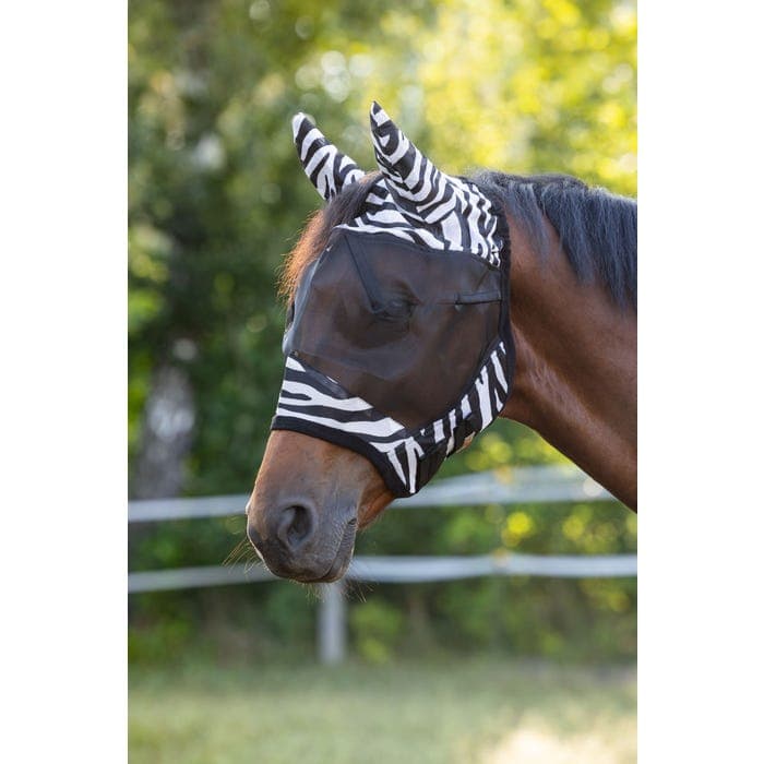 Flughuva Zebra