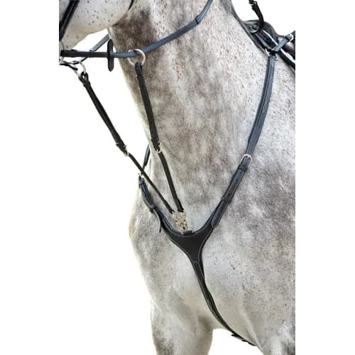 Förbygel Fazzino